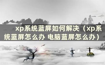 xp系统蓝屏如何解决（xp系统蓝屏怎么办 电脑蓝屏怎么办）